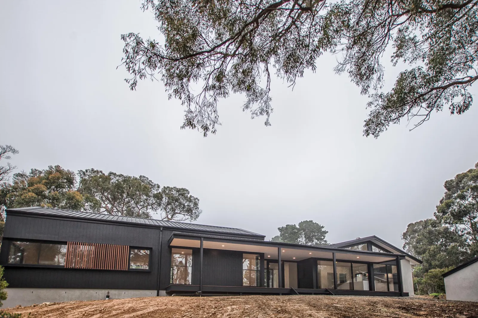 Daly St home in black vertical cladding, framed by gum branches under a grey sky