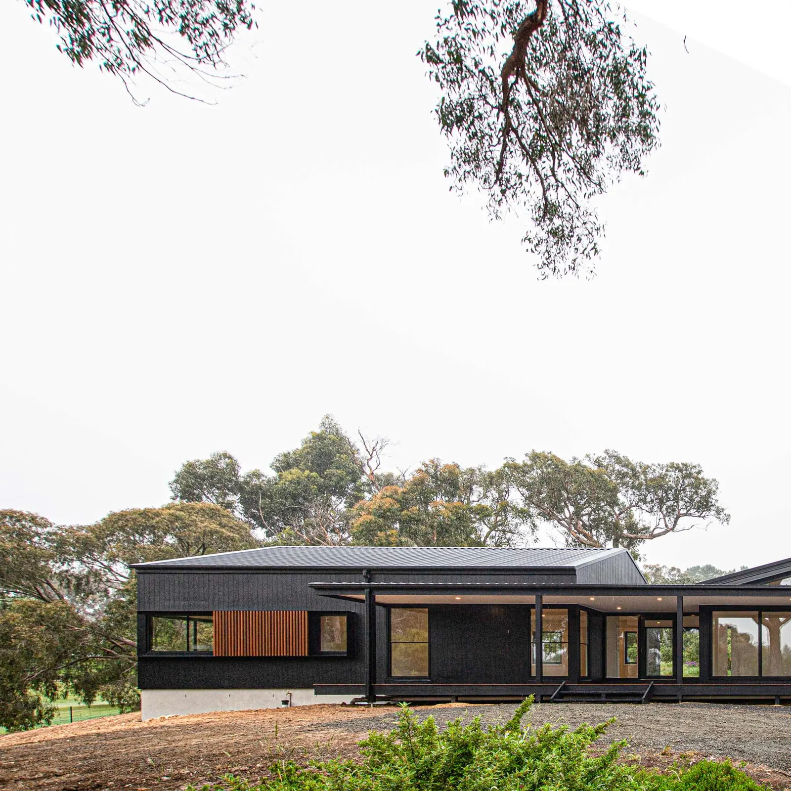 The Daly St home sitting low in the landscape beneath tall gums