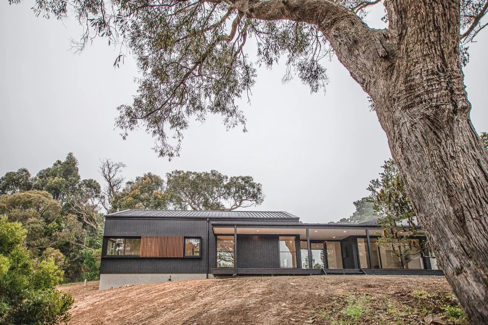 Daly Street home by Summerfield Homes